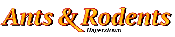 Hagerstown Ant Exterminator & Rodent Control Company Logo
